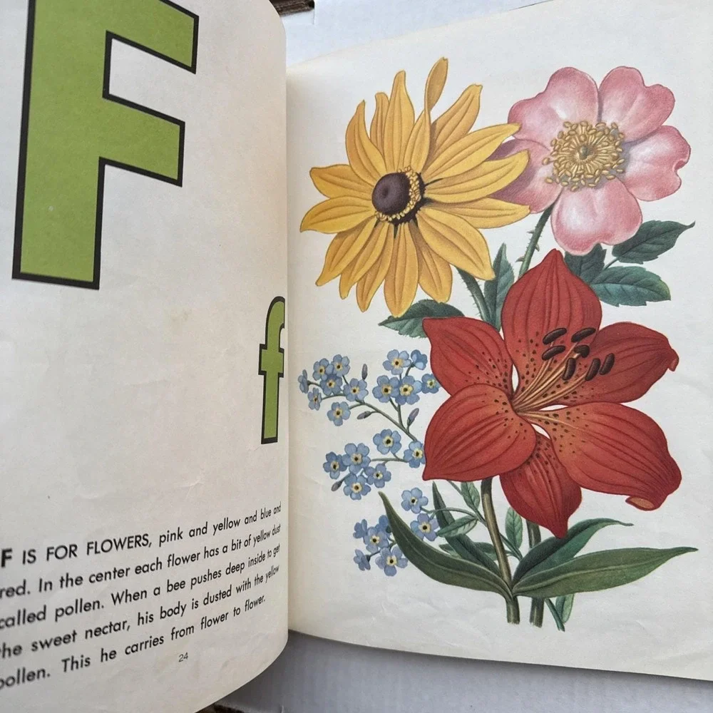 Vintage‎ First ABC: An Educational Picture Book Hardcover XL 9.5